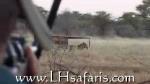 big-game-hunting-08g